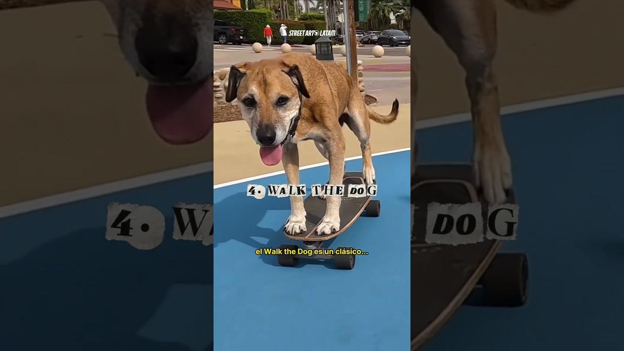 ¿Cuáles son los trucos básicos del freestyle