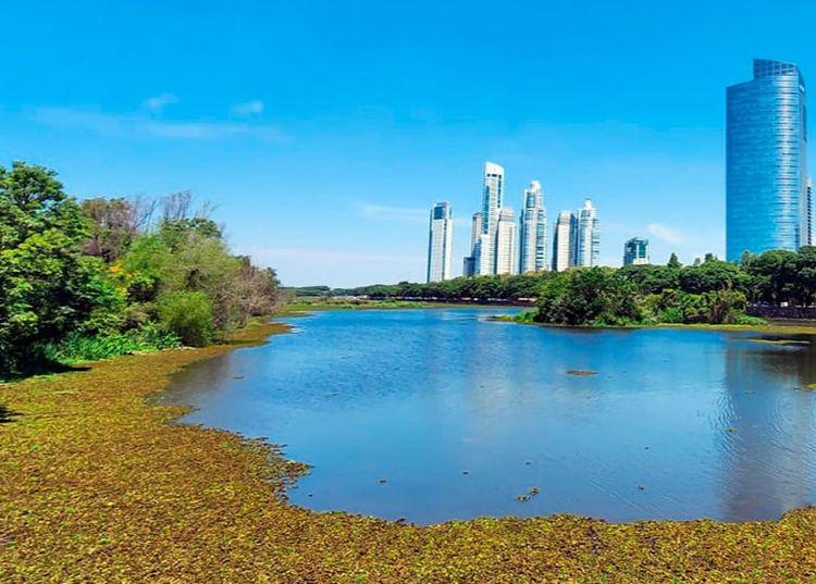 Portada de El secreto verde que guarda la Ciudad de Buenos Aires