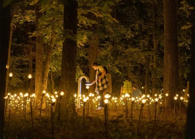 Imagen de Rafael Lozano-Hemmer: Jardín inconcluso