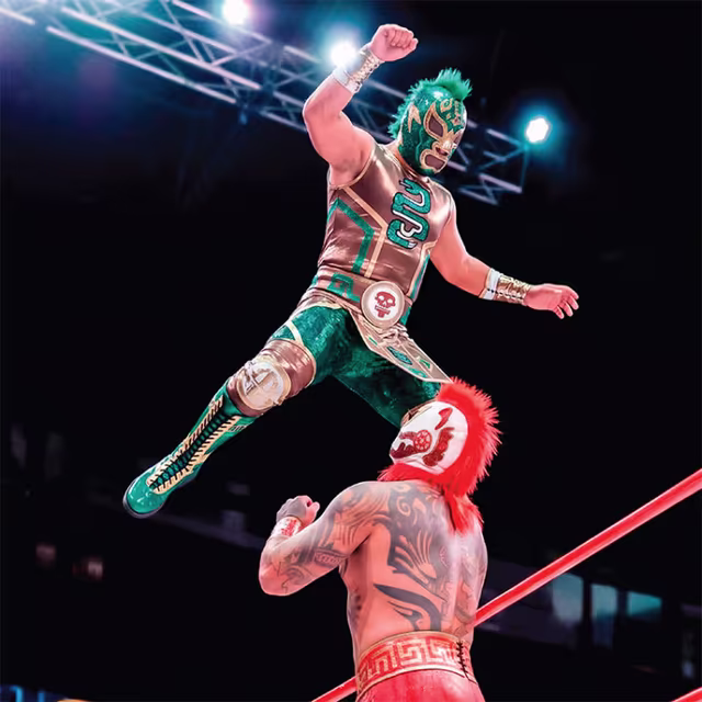 Imagen de Mitos en el Ring