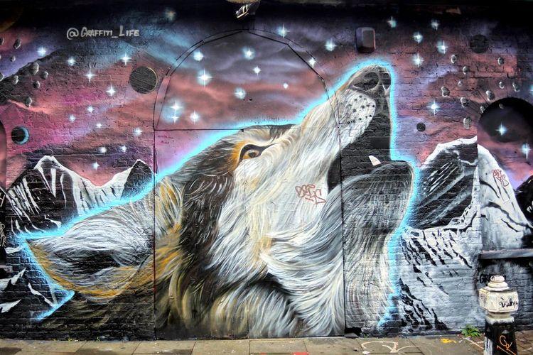 Portada de Quintero y Loncura 2025: la invasión muralista que tomará Chile