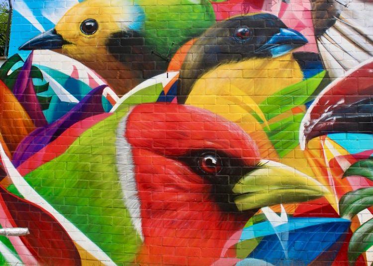 Portada de Los murales que tenés que conocer en Cali