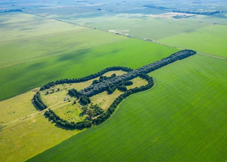 Portada de La arboleda que esconde el acto de amor más grande de Argentina