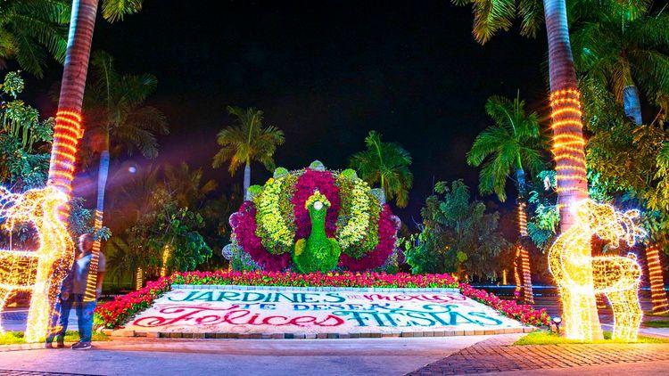 Imagen de Recorridos navideños en Jardines de México