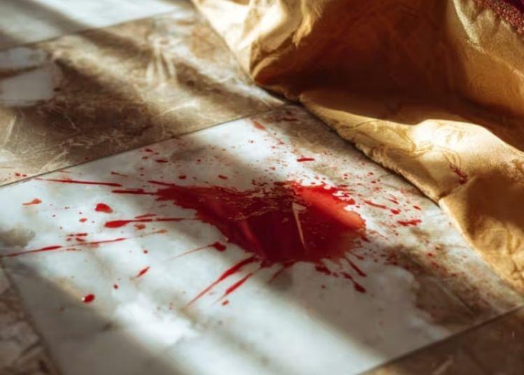 Imagen de The Jury Experience: ¿Asesinato Millonario o Una Red de Mentiras?